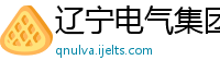 辽宁电气集团股份有限公司